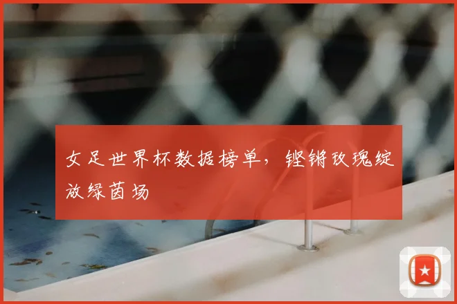 女足世界杯数据榜单，铿锵玫瑰绽放绿茵场