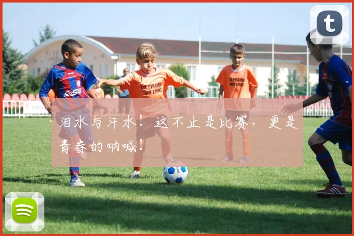 泪水与汗水！这不止是比赛，更是青春的呐喊！